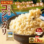 どじょうのいる田んぼのお米 コシヒカリ