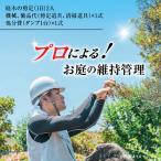 プロによる お庭の維持管理 KN177-001