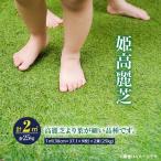 姫高麗芝 2平方メートル KN177-004-01