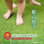 姫高麗芝 10平方メートル KN177-004-02