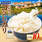 どじょうのいる田んぼのお米 コシヒカリ