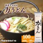 スピード発送 力うどん 100人前
