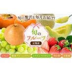 いちご 5回定期便 旬のフルーツ定期便 メロン