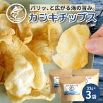 与那国島産 カジキ100%使用 カジキチップス 35g×3袋