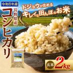 どじょうのいる田んぼのお米 コシヒカリ