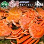 ふるさと納税 【訳あり】浜茹でオオズワイガニ 1.5kg 詰め込みセット 北海道噴火湾産 ＜道産ネットミツハシ＞ かに カニ 蟹 がに 北海道 森町 ふる.. 北海道森町