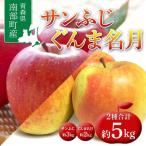 サンふじ ぐんま名月 食べ比べセット 約5kg