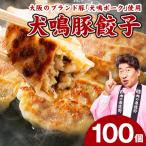犬鳴豚餃子 100個