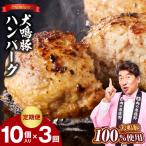 犬鳴豚の手作りプレミアムハンバーグ 10個入り