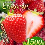 鮮度抜群 朝採れ旬のとちあいか 約1500g
