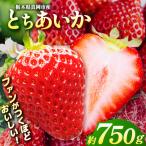 鮮度抜群 朝採れ旬のとちあいか 約750g