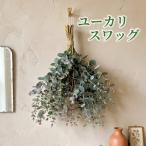 フレッシュ グニユーカリ スワッグ 約30cm 約30本