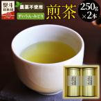農薬不使用 煎茶 NO.3 ずいうん250g+みどり250g 計500g