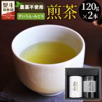 農薬不使用 煎茶 NO.15 ずいうん120g+みどり120g 計240g