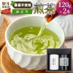 農薬不使用 煎茶 NO.16 みどり120g×2 計240g