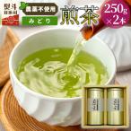 農薬不使用 煎茶 NO.29 みどり100g×3 計300g