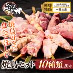 飛騨地鶏 焼鳥20本セット 焼鳥