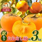 たねなし柿 わけあり 約3kg
