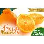 秀品 露地不知火 5kg
