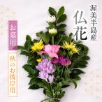 仏花 日時指定可 生産額 日本一 渥美半島 お彼岸