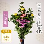 仏花 日時指定可 生産額 日本一 渥美半島 月命日