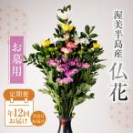 仏花 日時指定可 生産額 日本一 渥美半島 月命日