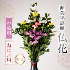 仏花 特選 日時指定可 生産額 日本一 渥美半島