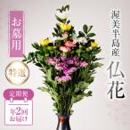 仏花 日時指定可 生産額 日本一 渥美半島 お彼岸