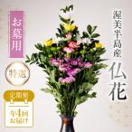 仏花 特選 日時指定可 生産額 日本一 渥美半島