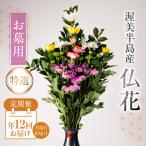 仏花 特選 日時指定可 生産額 日本一 渥美半島