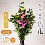 仏花 日時指定可 生産額 日本一 渥美半島 月命日