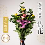 仏花 特選 日時指定可 生産額 日本一 渥美半島