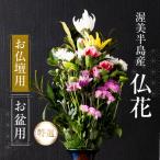仏花 特選 日時指定可 生産額 日本一 渥美半島