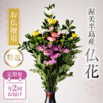 仏花 日時指定可 生産額 日本一 渥美半島 お彼岸