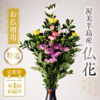 仏花 特選 日時指定可 生産額 日本一 渥美半島