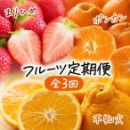 紀州和歌山産旬のフルーツセット いちご4P