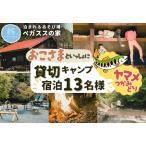 貸切キャンプ 八丁やまめつかみ取り+薪サービス