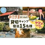 貸切キャンプ 八丁やまめつかみ取り+薪サービス