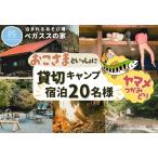 貸切キャンプ 八丁やまめつかみ取り+薪サービス