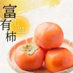 令和8年産 富有柿 L~2L サイズ 約5kg