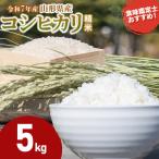 コシヒカリ 精米 5kg