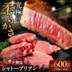 博多和牛 シャトーブリアン 150g×4枚