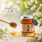 日本蜜蜂のハチミツ 300g×2