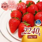 訳あり 粒不揃い とちあいか 1 120g