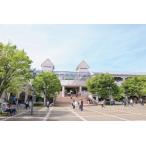 奈良大学 食堂チケット 12 000円分