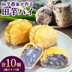 田芋農家が作る田芋パイ 計10個