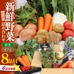 野菜定期便 8品目