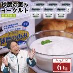 球磨の恵み ヨーグルト 砂糖不使用 6kg