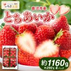 いちご とちあいか 出会いの森いちご園 290g×4パック
