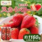 いちご スカイベリー 出会いの森いちご園 290g×4パック